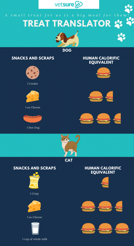 human food as treats for pets - a translation
