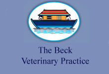 Beck Vets – Whitby