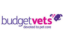 Budget Vets – Bridgend