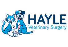 Hayle Veterinary Surgery