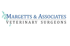 Margetts & Associates Veterinary Surgeons – Ashford
