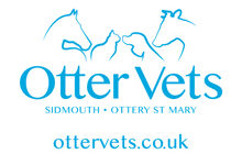 Otter Vets – Otter Veterinary Clinic