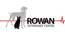 Rowan Veterinary Centre – The Old Bank