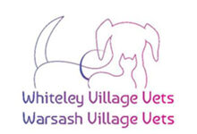 Warsash Village Vet