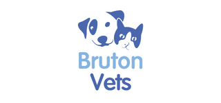 Bruton Veterinary Practice