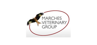 Marches Veterinary Group – Ludlow