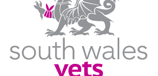 South Wales Vets – Blackwood