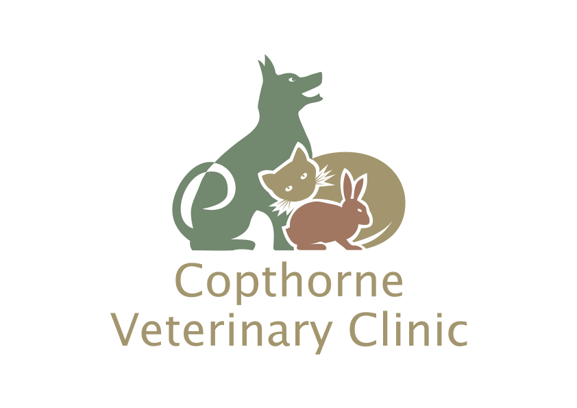 Copthorne Veterinary Clinic | Vetsure