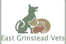 East Grinstead Vet / Crawley Veterinary Clinic