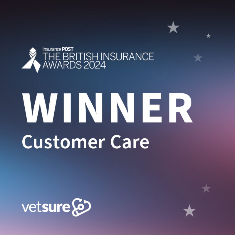 vetsure win major award at the british insurance awards 2024 for excellent customer service