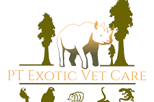 PT Exotic Vet care – Riverside