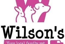 Wilson’s Veterinary Practice
