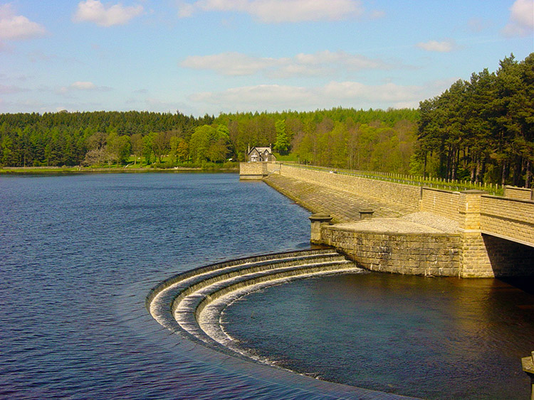 Fewston Reservoir, a full reservoir set within pine trees in Yorkshire, part of our list of dog friendly walks.