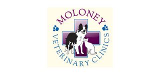 Moloney Vets – Takeley