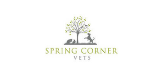 Spring Corner Vets – Bournemouth