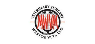 Westoe Veterinary Surgery