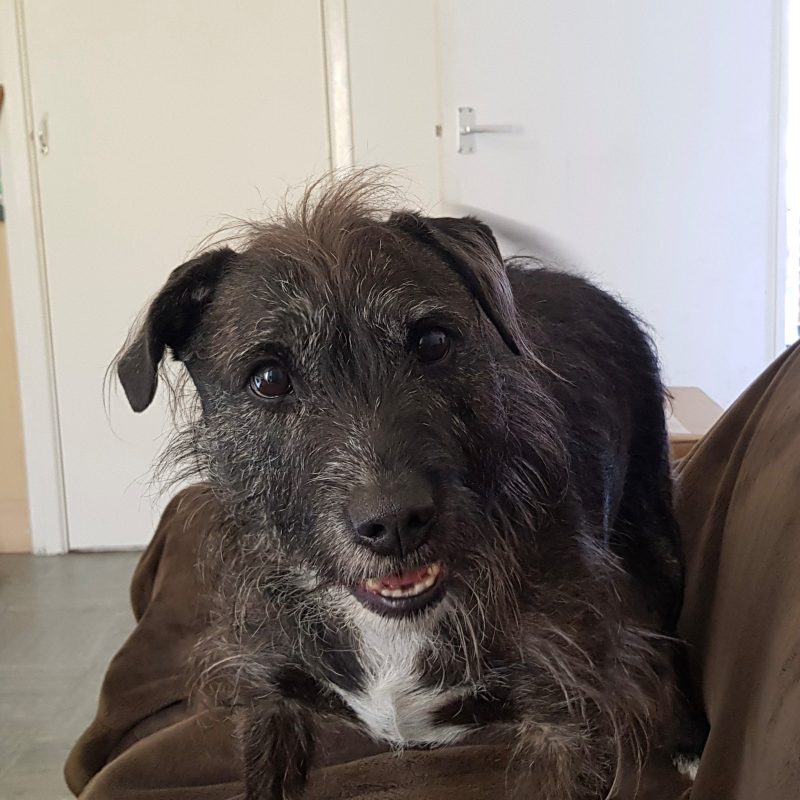 Jake sits on the sofa and looks straight on at the camera.