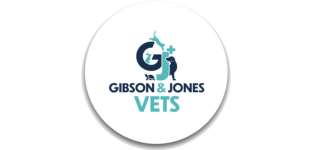Gibson & Jones Vets – Llanelli