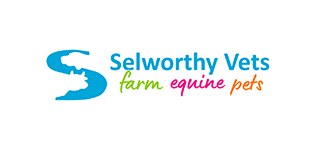Selworthy Vets