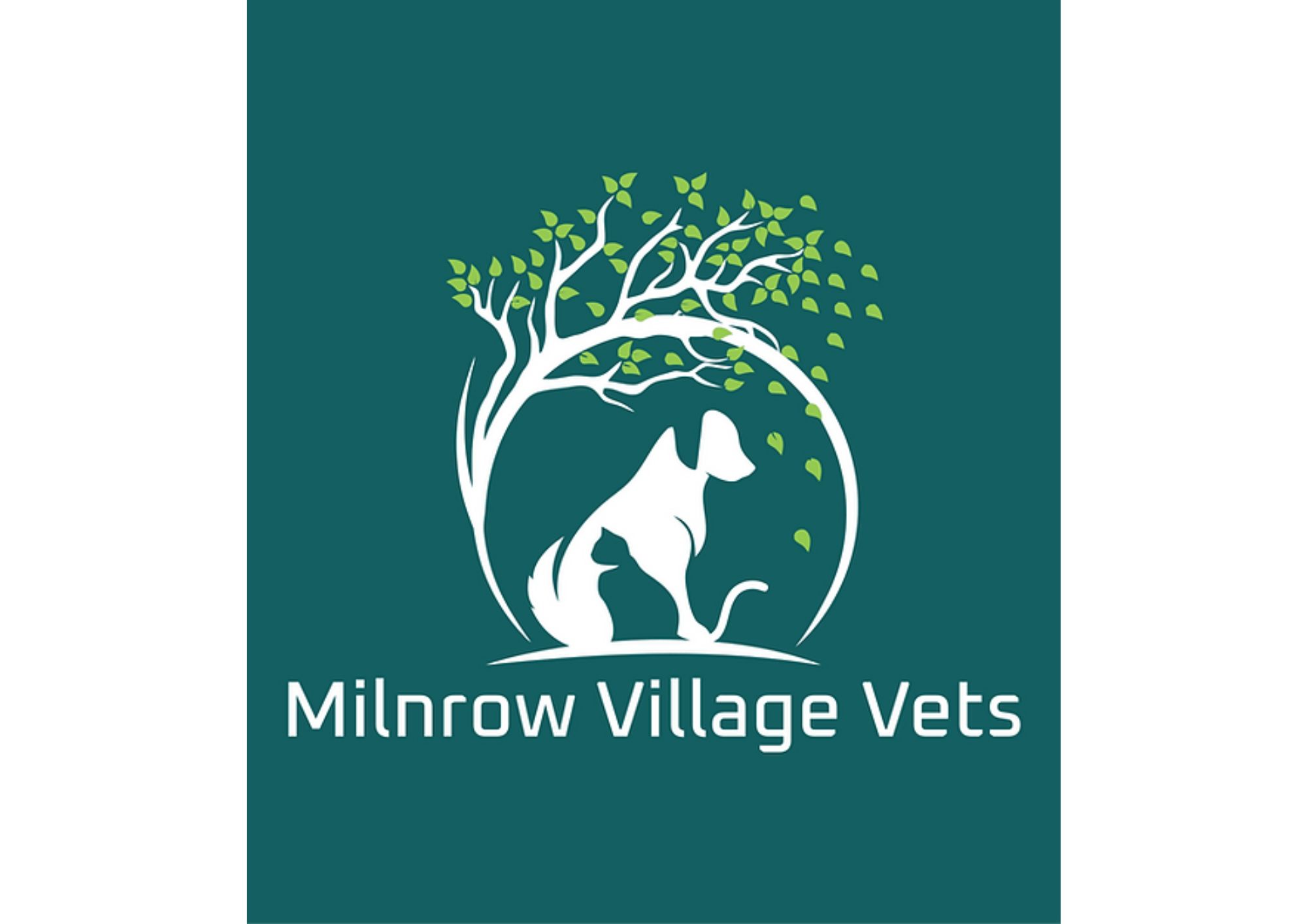 milnrow-village-vets-vetsure