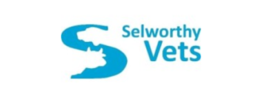 Selworthy Vets