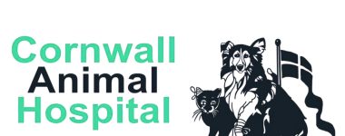 Cornwall Animal Hospital