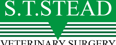 S.T. Stead