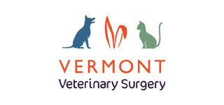 Vermont Veterinary Surgery