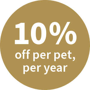 10% Discount
